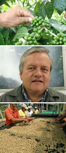 レインフォレスト・アライアンス