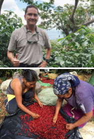 シャングリラ農園