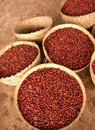 エチオピア・コチャレ