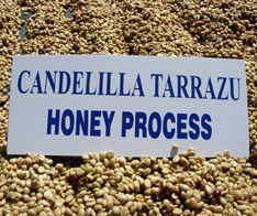 コスタリカ　カンデリージャハニー