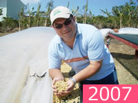 ブルマス デル スルキ