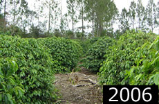 オナンガンジャン村