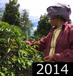 フスンドゥタン県近郊